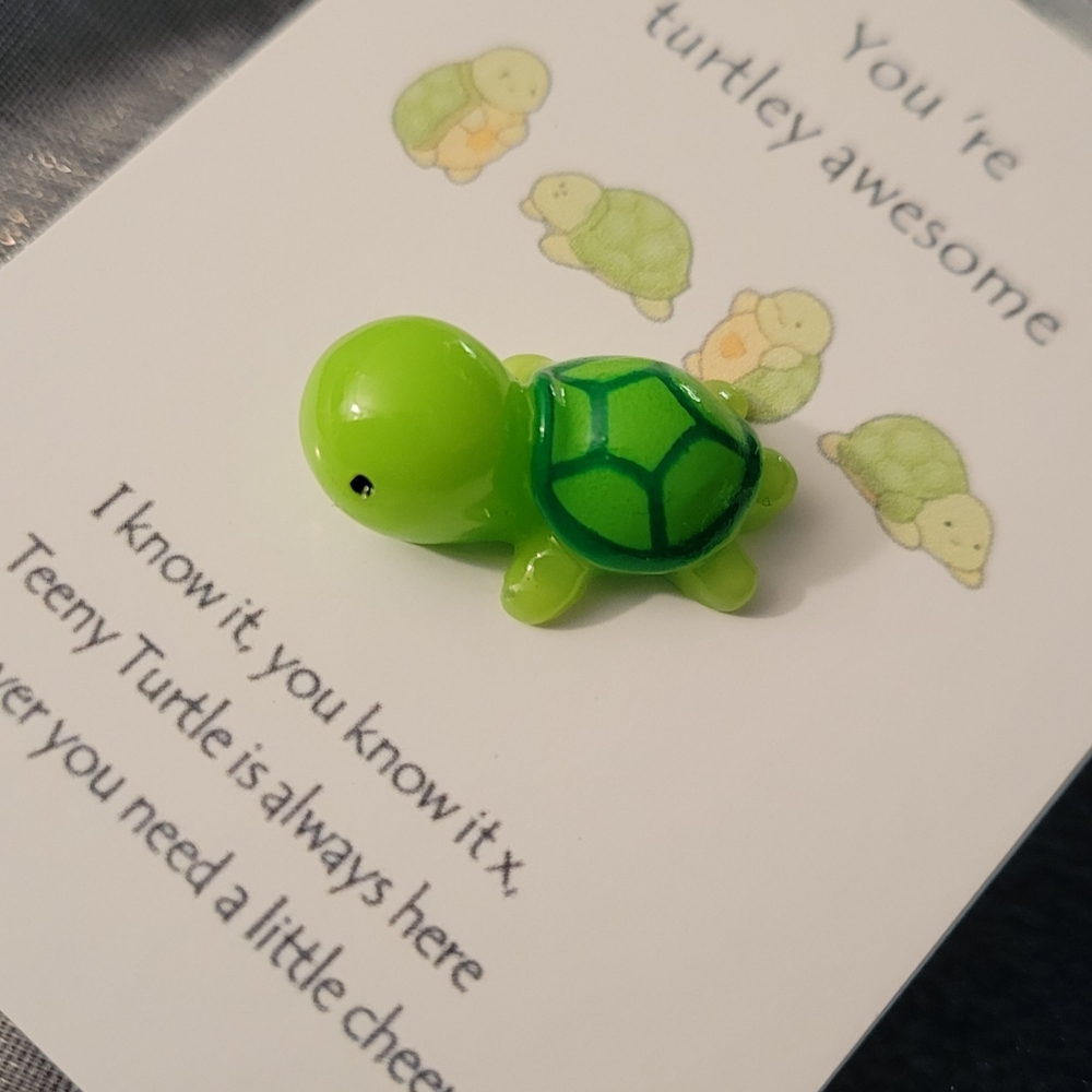 Pocket Hug Turtle - Picture 4 of 5